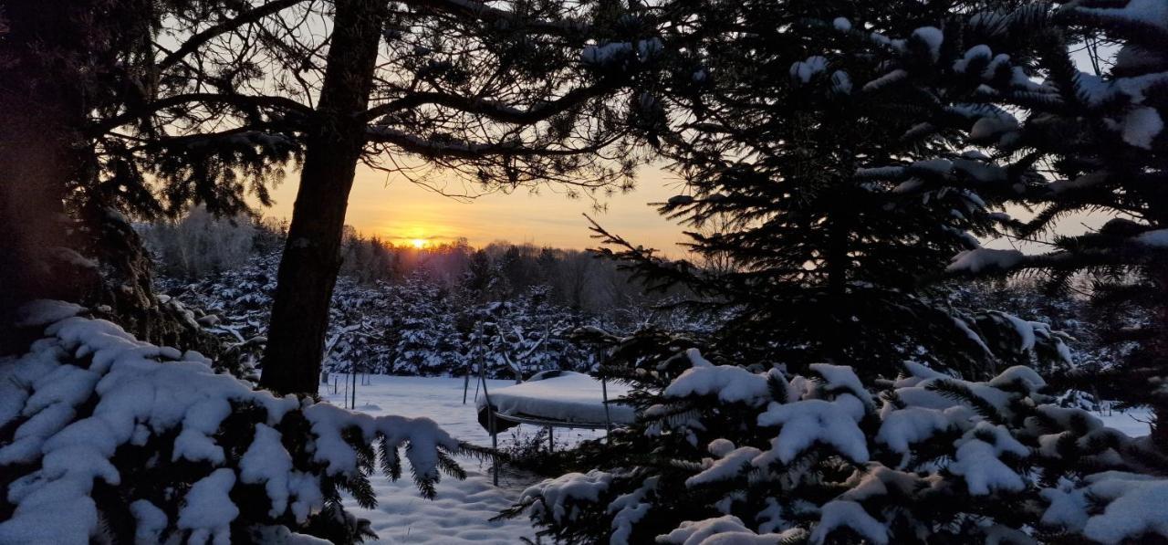 Sunset- Dom Zachod Slonca Spa Moldzie Eksteriør bilde